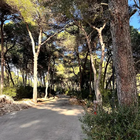 شقة La Casa Di Ale