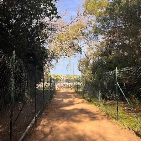 شقة La Casa Di Ale سان كاتالدو